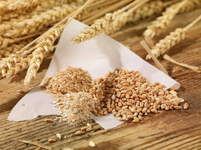 بلغور گندم چیست